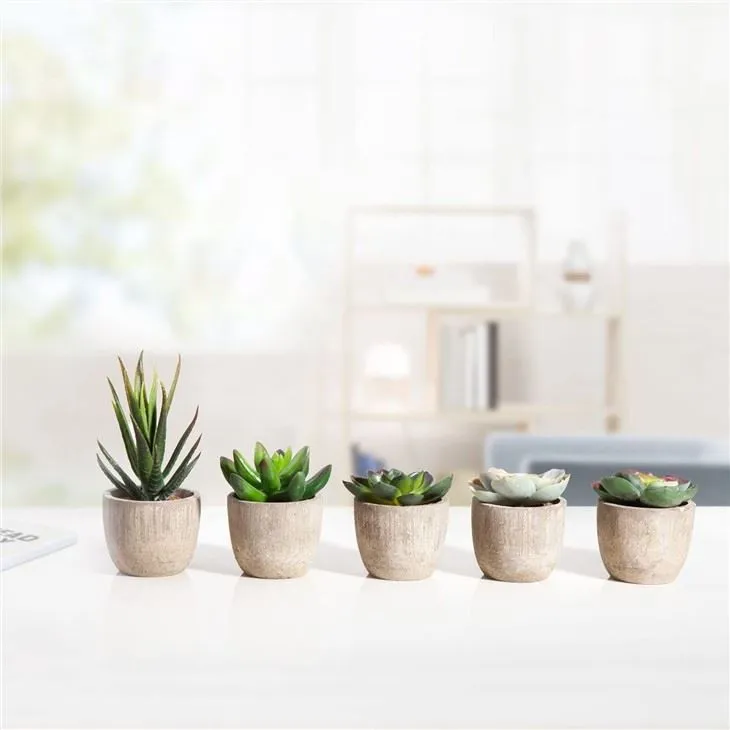Artificial Succulents in Pots