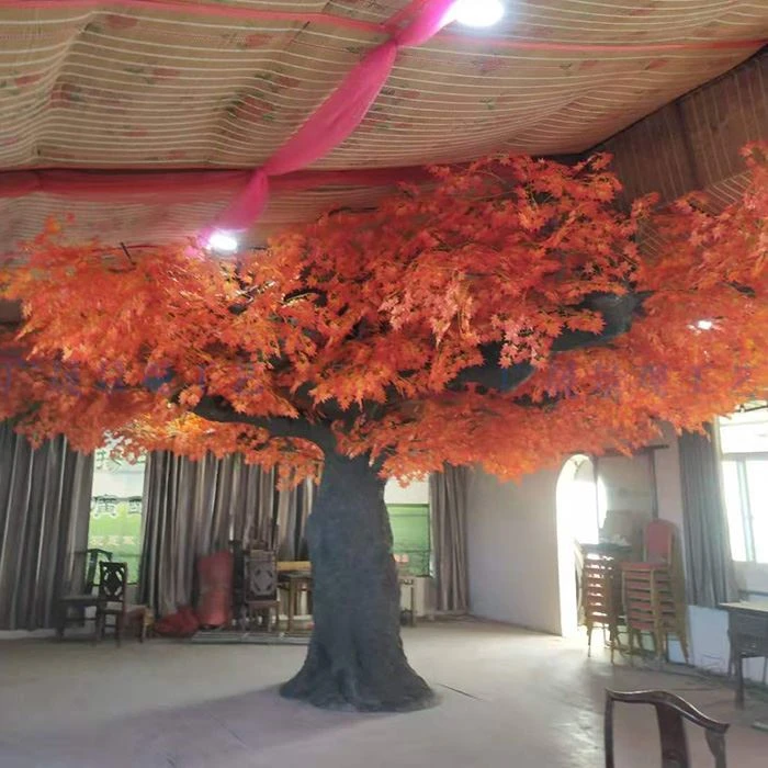 Cén Fáth go bhfuil Fáilte roimh Chrainn Maple Dearg