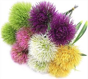 Bláth dandelion saorga