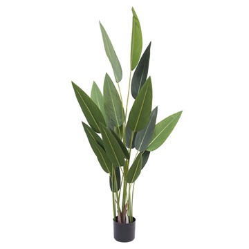 Cén fáth go bhfuil plandaí saorga