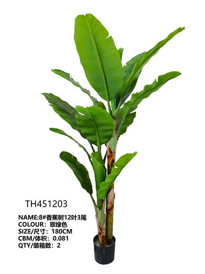 Crann banana saorga faoi dhíon